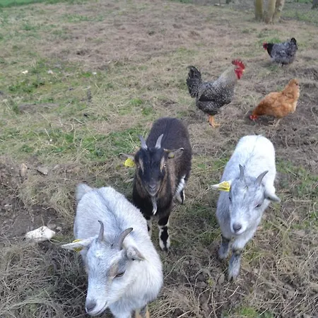 Ferme 