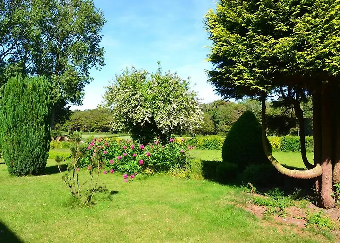 Bed & Breakfast Ferme 